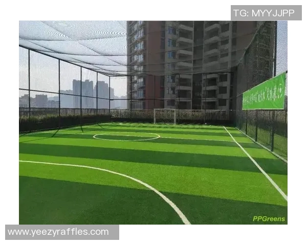 深圳市免费足球场资源大盘点让你畅享足球乐趣的最佳去处 深圳市免费足球场资源大盘点让你畅享足球乐趣的最佳去处