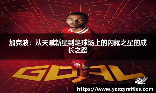 加克波：从天赋新星到足球场上的闪耀之星的成长之路