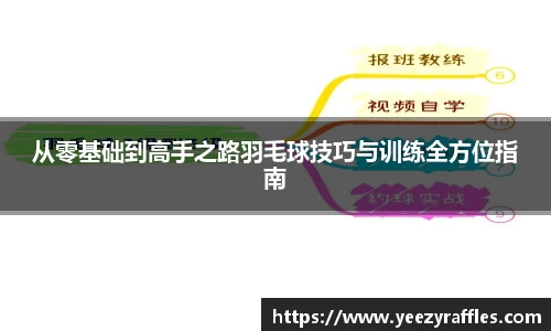 从零基础到高手之路羽毛球技巧与训练全方位指南