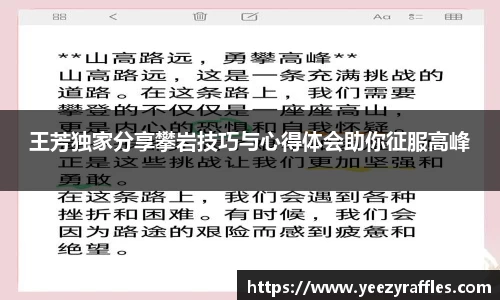 OB电竞官网