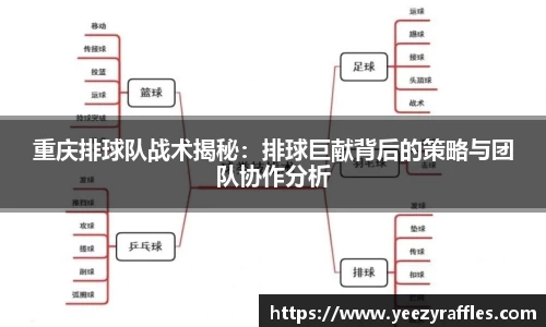 OB电竞官网